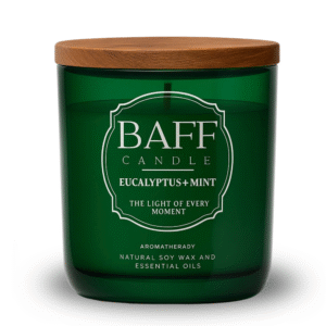 eucalyptus mint soy wax luxury candle (one wick)